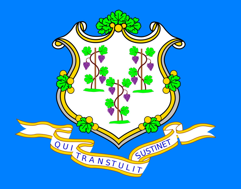 Connecticut State Flag Print