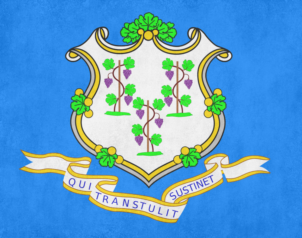 Connecticut State Flag Print