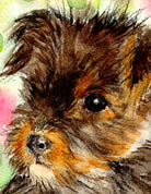 Yorkshire Terrier Puppy Watercolour Print, Andi Lucas Wildlife Art