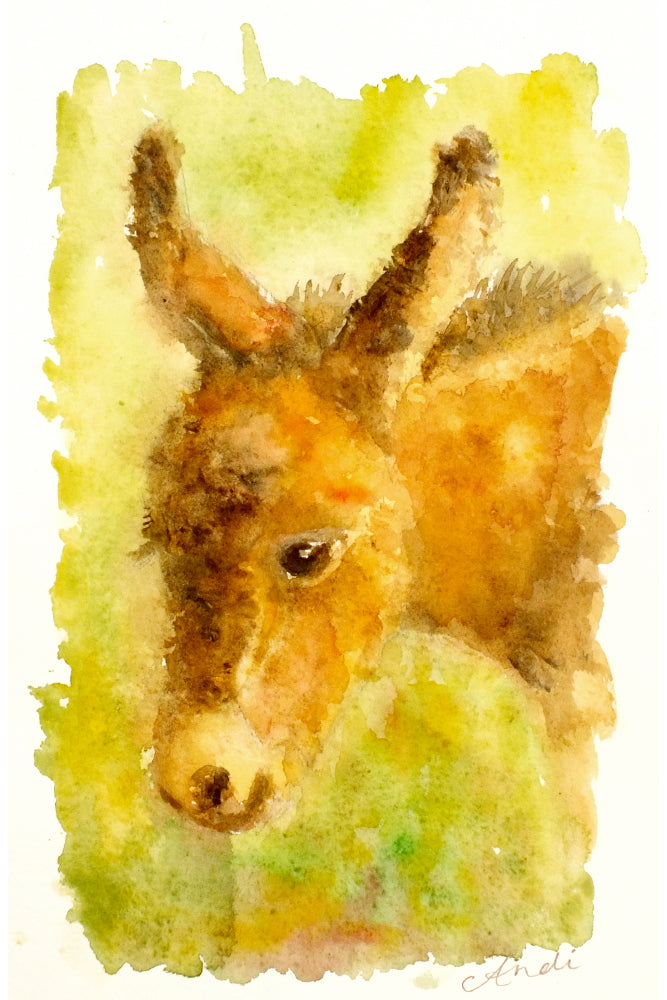 Donkey Watercolour Print, Andi Lucas Wildlife Art