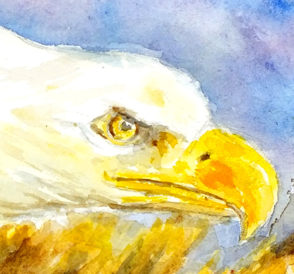 Eagle Watercolour Print, Andi Lucas Wildlife Art