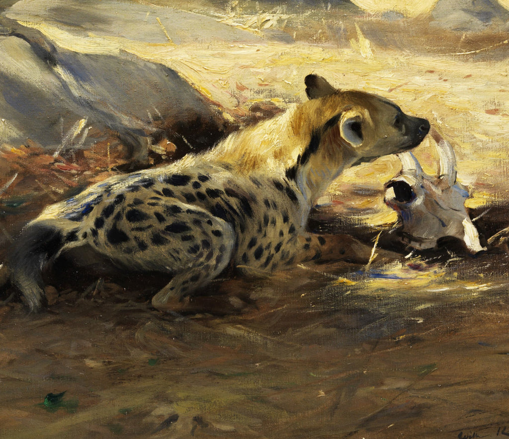 Friedrich Wilhelm Kuhnert Fine Art Print, Hyena