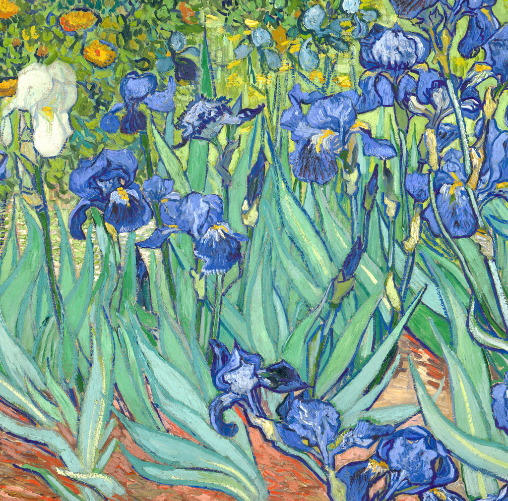 Vincent Van Gogh Fine Art Print, Irises