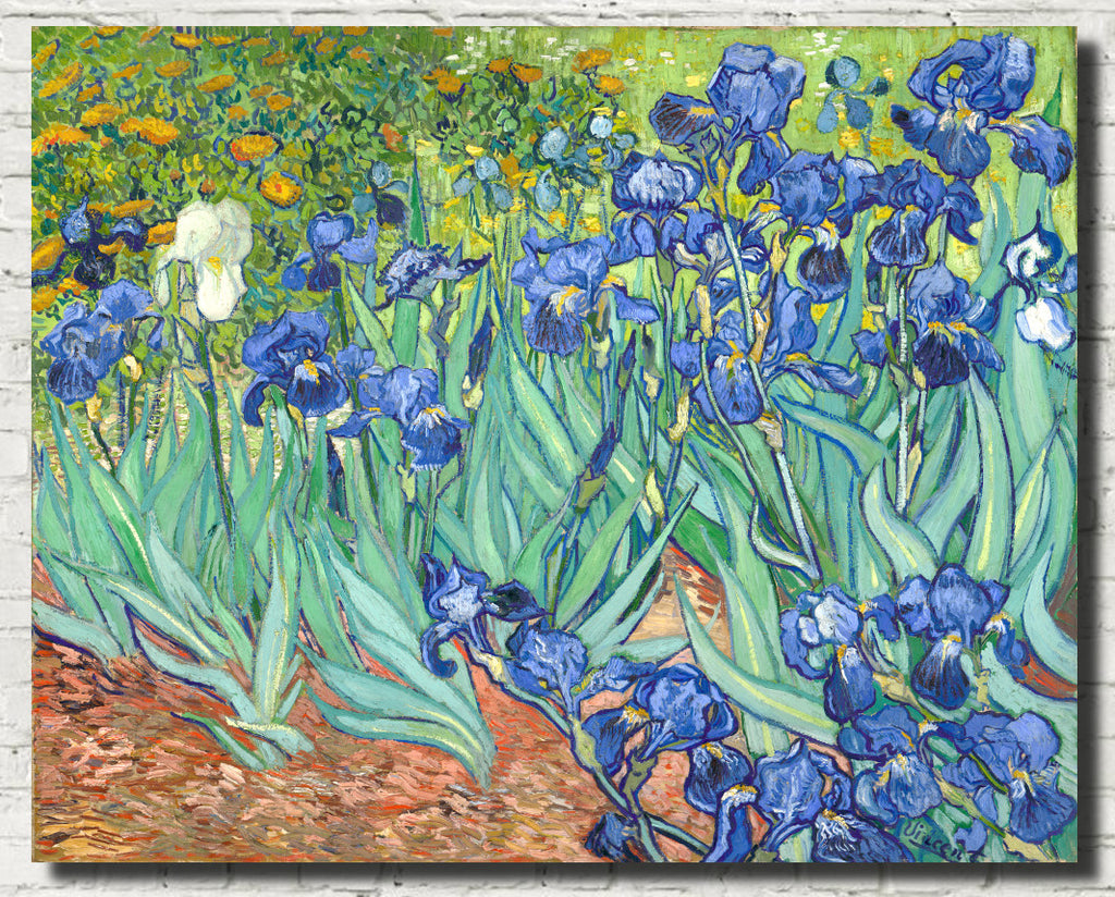 Vincent Van Gogh Fine Art Print, Irises