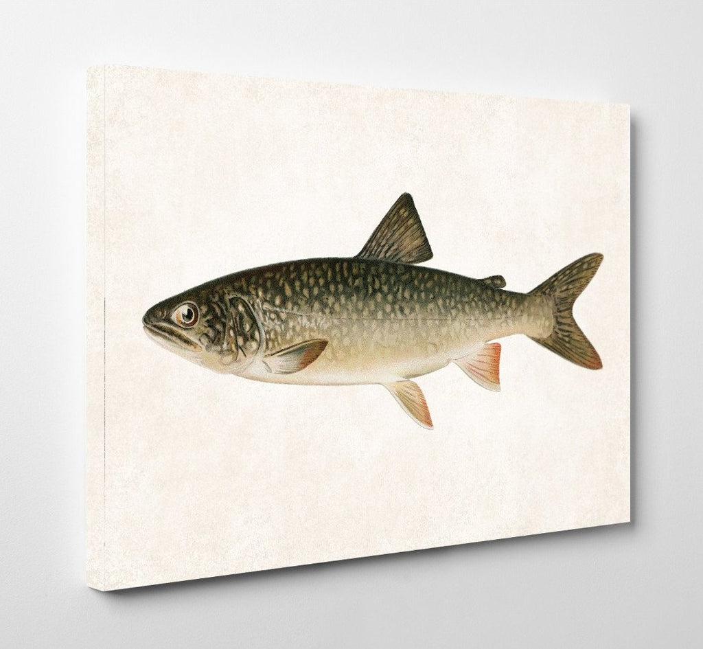 Lake Trout Fishing Print, Angling Wall Art 0583