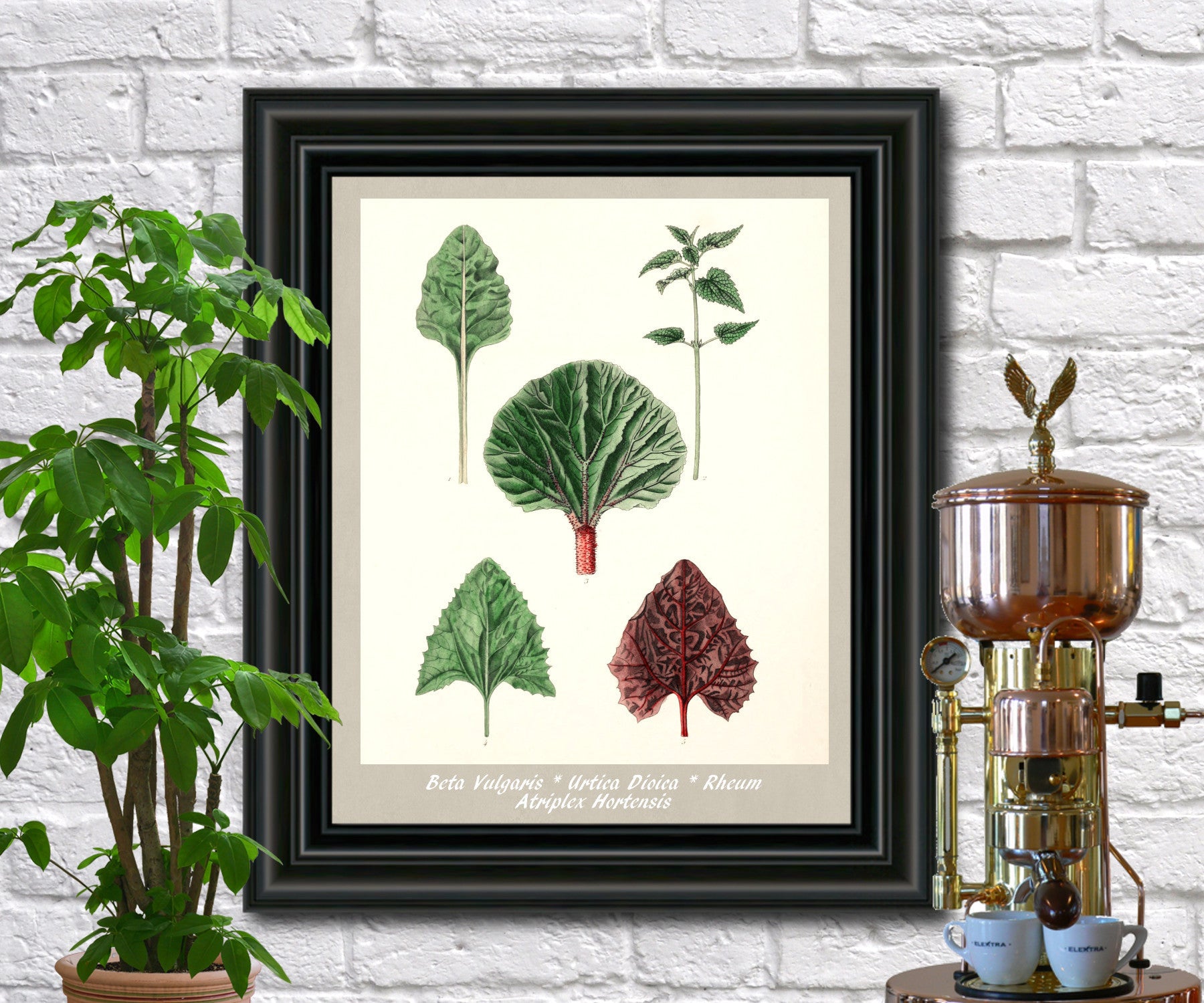 Leaves Print Vintage Botanical Illustration Poster Art - OnTrendAndFab