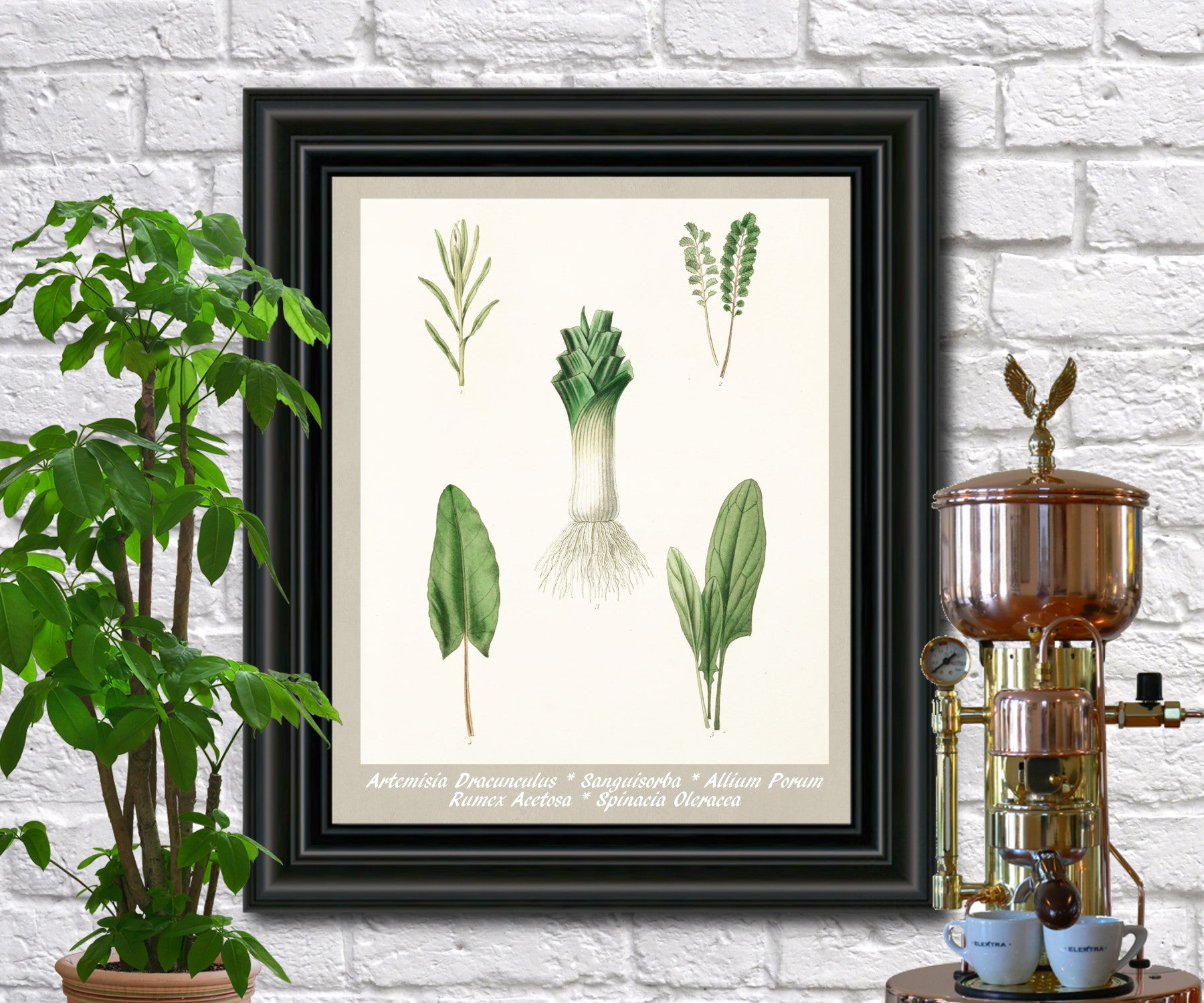 Leaves Print Vintage Botanical Illustration Poster Art - OnTrendAndFab