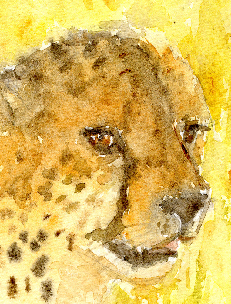 Cheetah Watercolour Print, Andi Lucas Wildlife Art