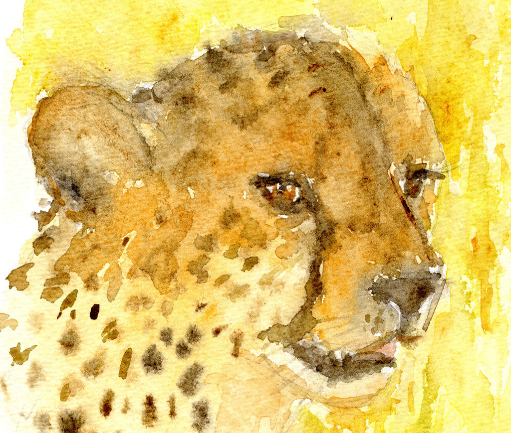 Cheetah Watercolor Painting Big Cat Painting Framed African Wildlife by Andi Lucas