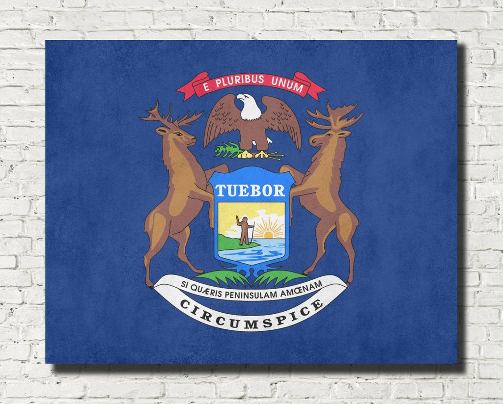 Michigan State Flag Print