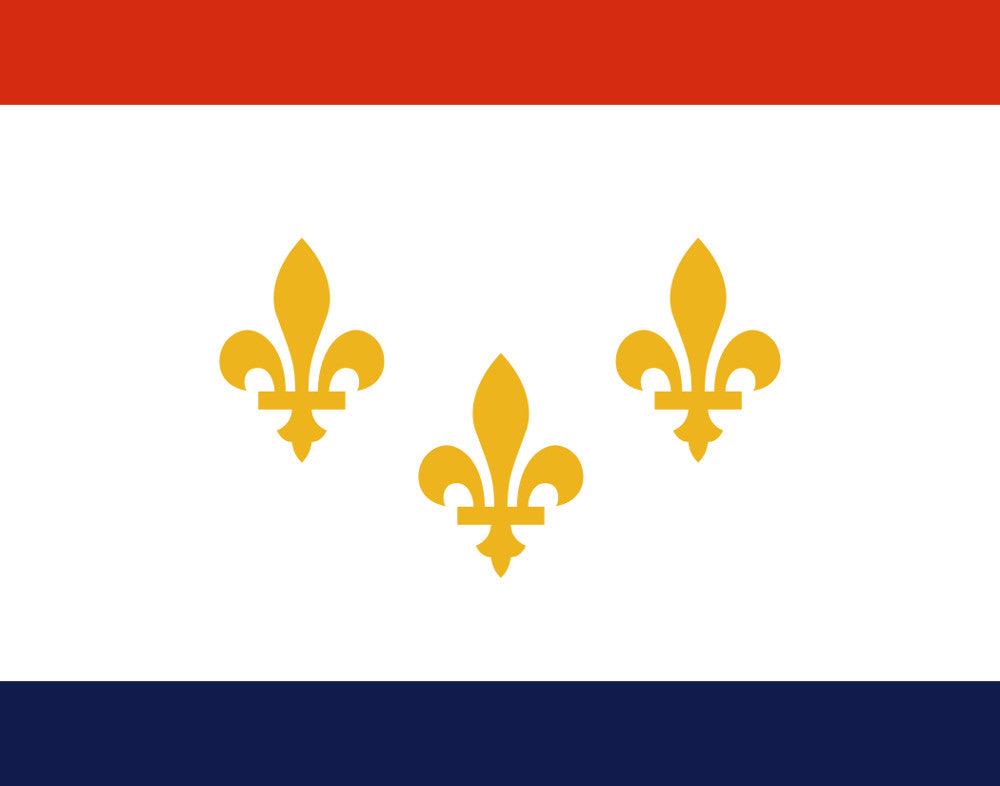 New Orleans Louisiana City Flag Print
