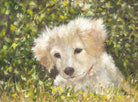 Yellow Labrador Puppy Original Framed Dog Painting by Andi Lucas