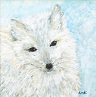 Arctic Fox Original Framed Wildlife Painting by Andi Lucas