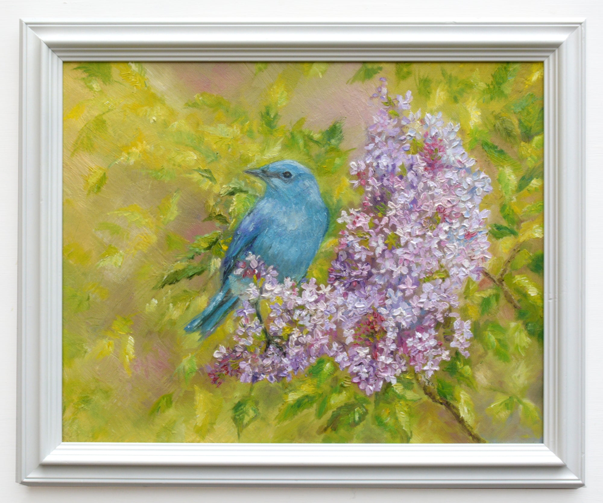 Mountain Bluebird Original Framed Wildlife Painting by Andi Lucas