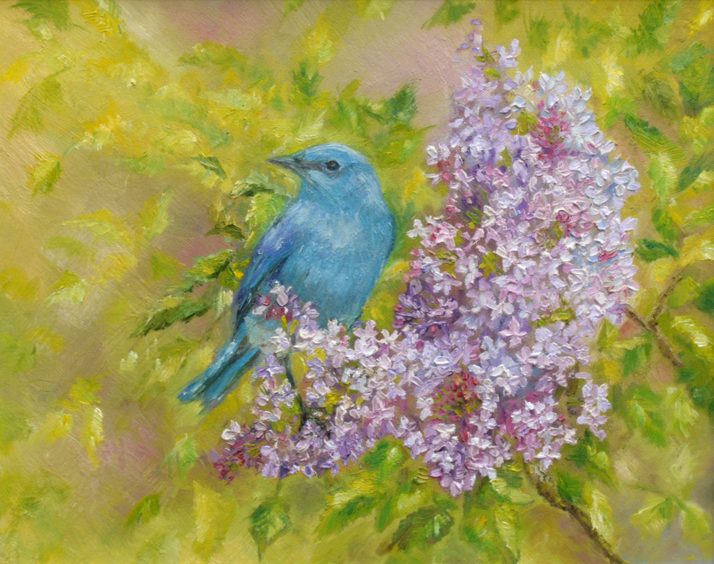 Mountain Bluebird Original Framed Wildlife Painting by Andi Lucas