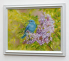 Mountain Bluebird Original Framed Wildlife Painting by Andi Lucas