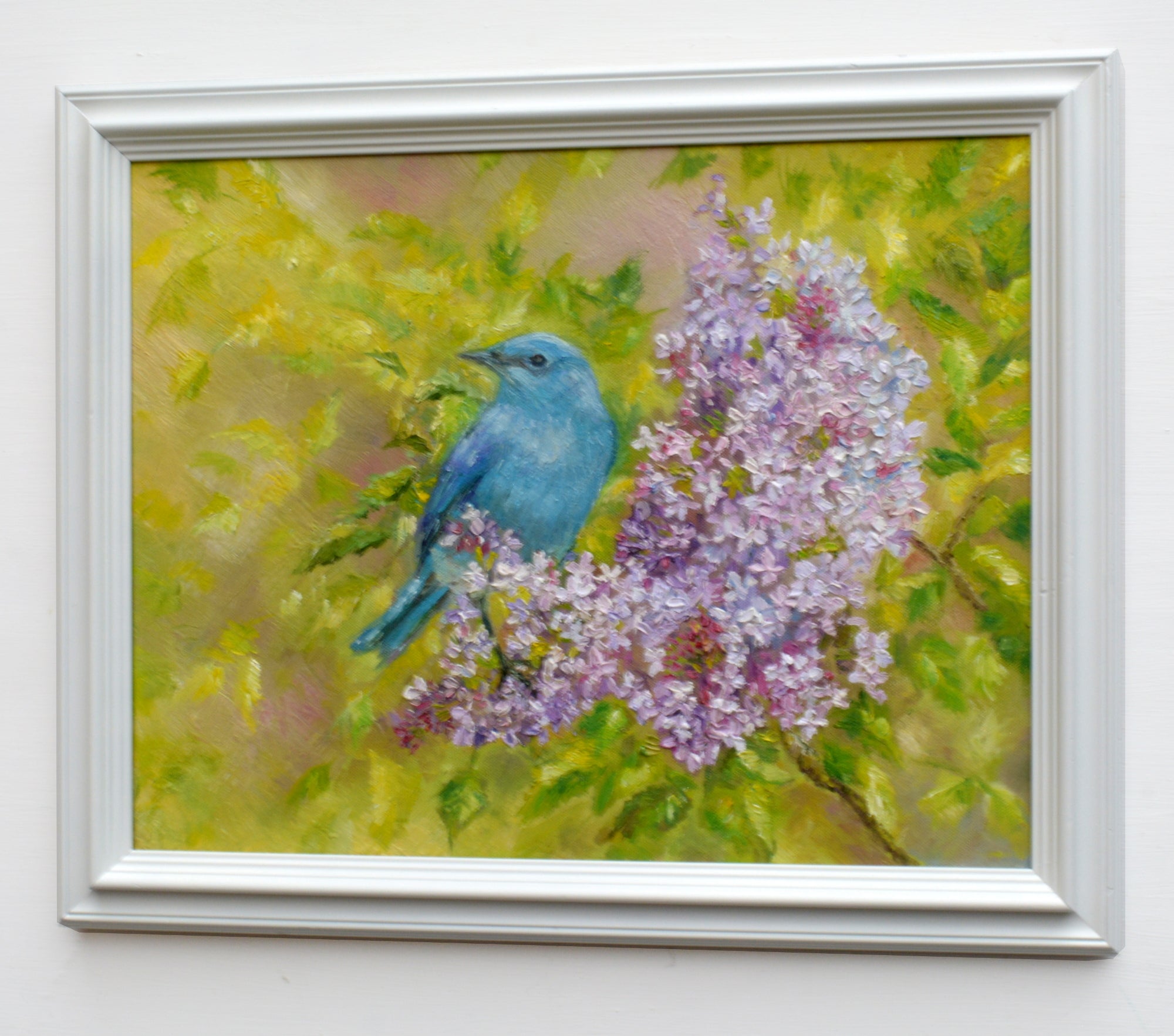 Mountain Bluebird Original Framed Wildlife Painting by Andi Lucas