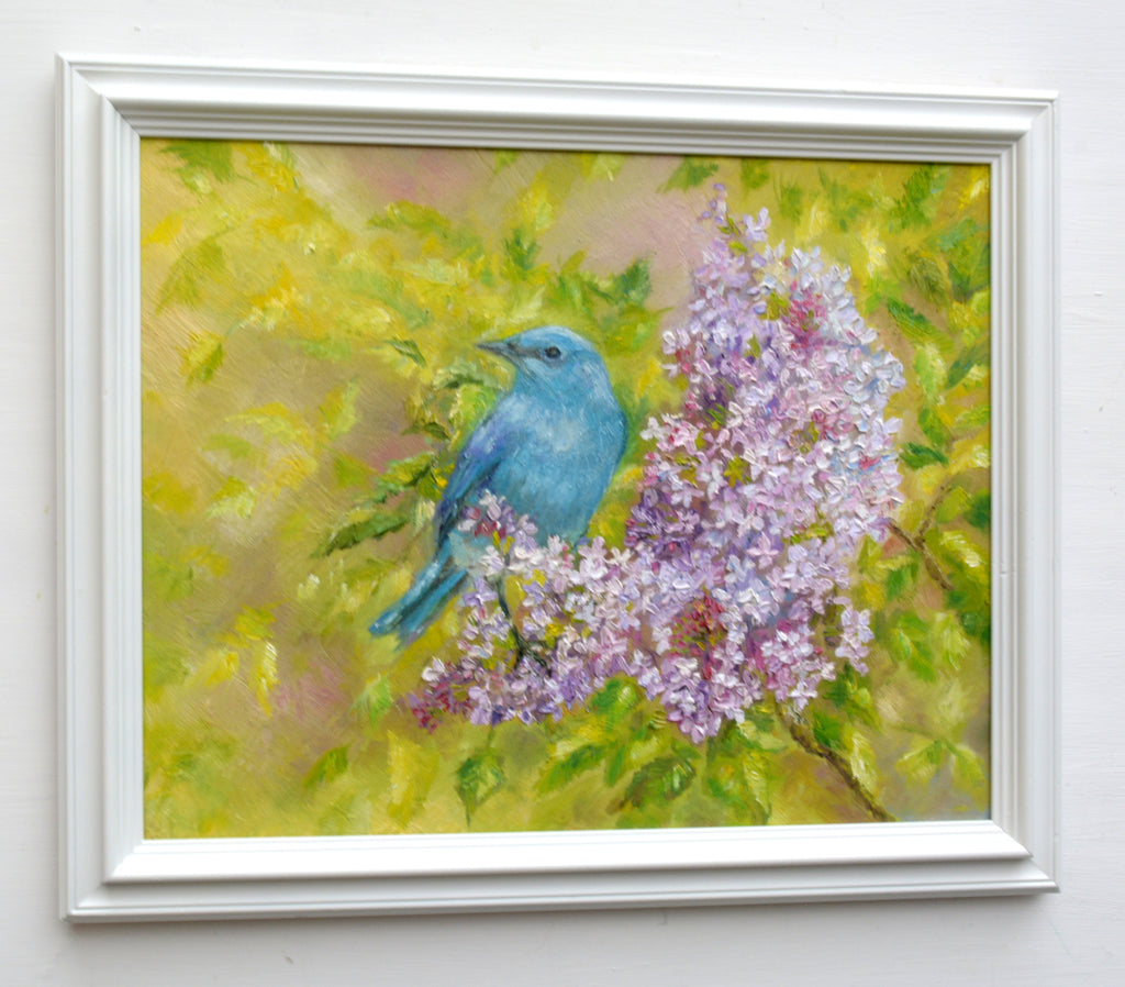 Mountain Bluebird Original Framed Wildlife Painting by Andi Lucas