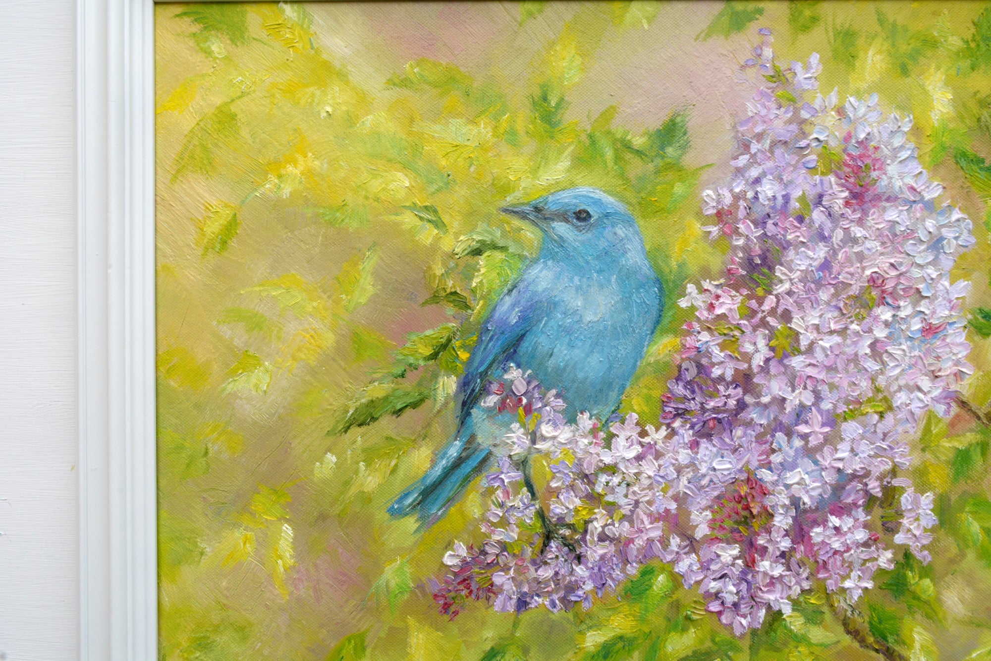 Mountain Bluebird Original Framed Wildlife Painting by Andi Lucas