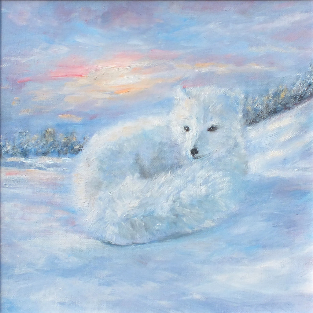 Arctic Fox Original Oil Painting Signed Framed Andi Lucas - GalleryThane.com