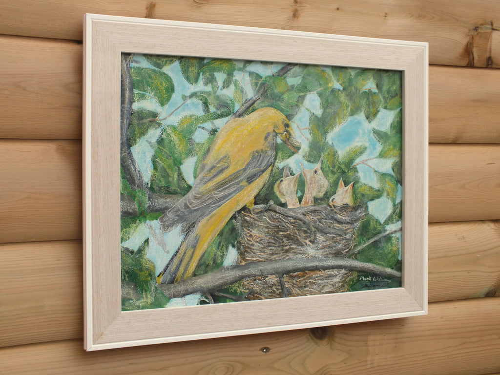 Golden Oriole, Original Oil Painting Birds Nest Signed, Framed
