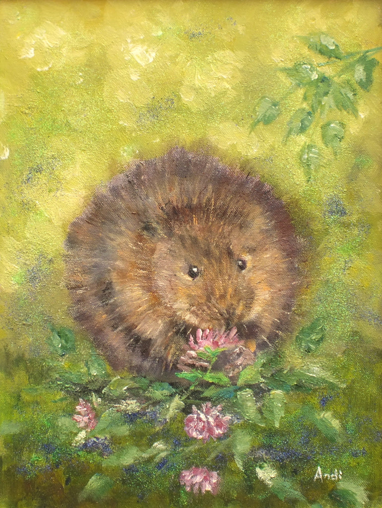 Water Vole Original Painting Signed Framed Andi Lucas