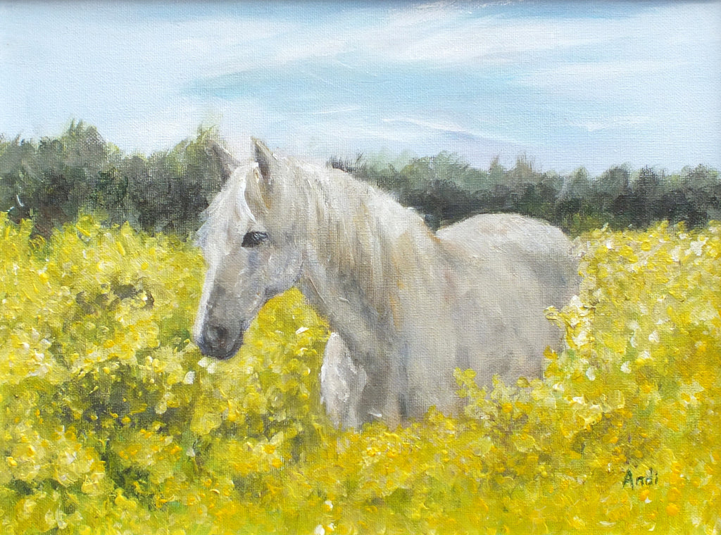 Grey Horse - Original Framed Painting, Andi Lucas