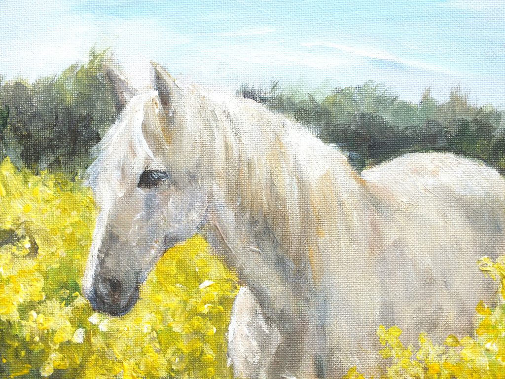 Grey Horse - Original Framed Painting, Andi Lucas