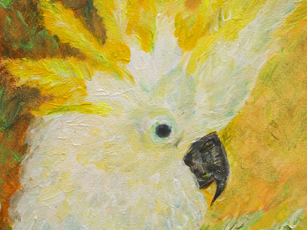 Cockatoo - Original Framed Painting, Andi Lucas