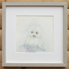 Seal Pup, Original Wildlife Illustration, Framed