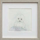 Seal Pup, Original Wildlife Illustration, Framed