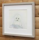 Seal Pup, Original Wildlife Illustration, Framed