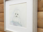 Seal Pup, Original Wildlife Illustration, Framed