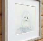 Seal Pup, Original Wildlife Illustration, Framed