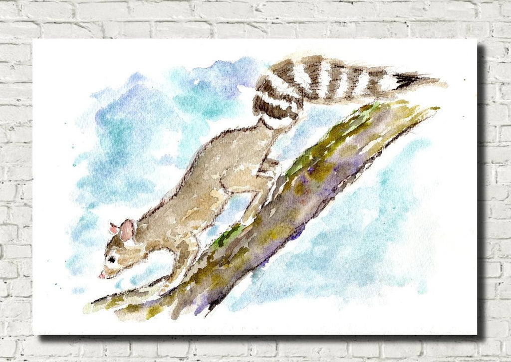 Ringtail Cat Watercolour Print, Andi Lucas Wildlife Art