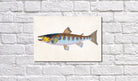 River Trout Fishing Print, Angling Wall Art 0585