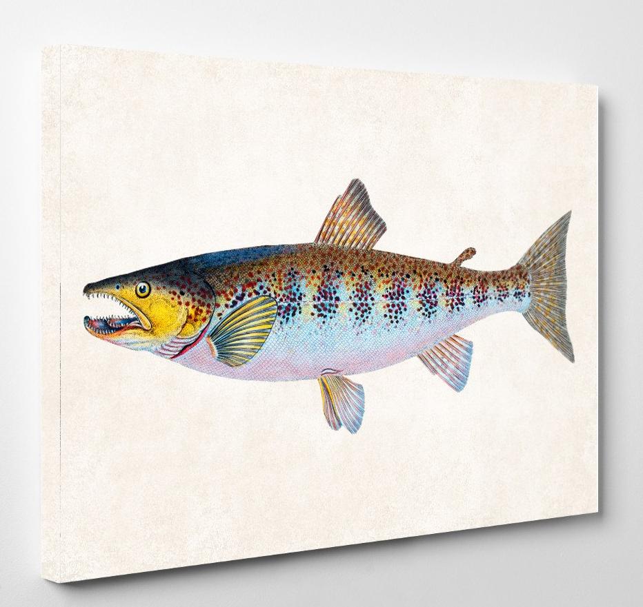 River Trout Fishing Print, Angling Wall Art 0585
