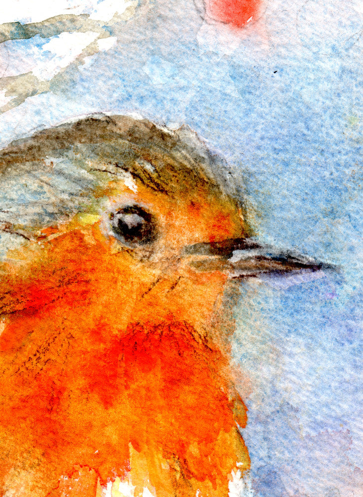 Robin Watercolour Print, Andi Lucas Wildlife Art
