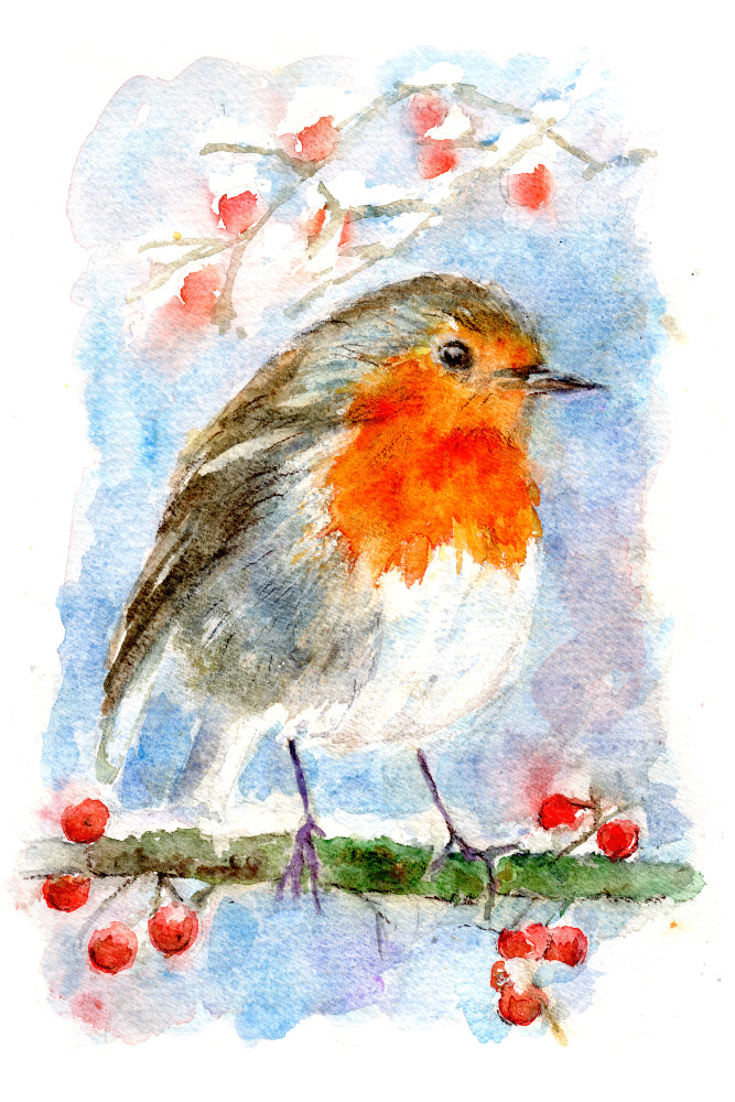 Robin Watercolour Print, Andi Lucas Wildlife Art