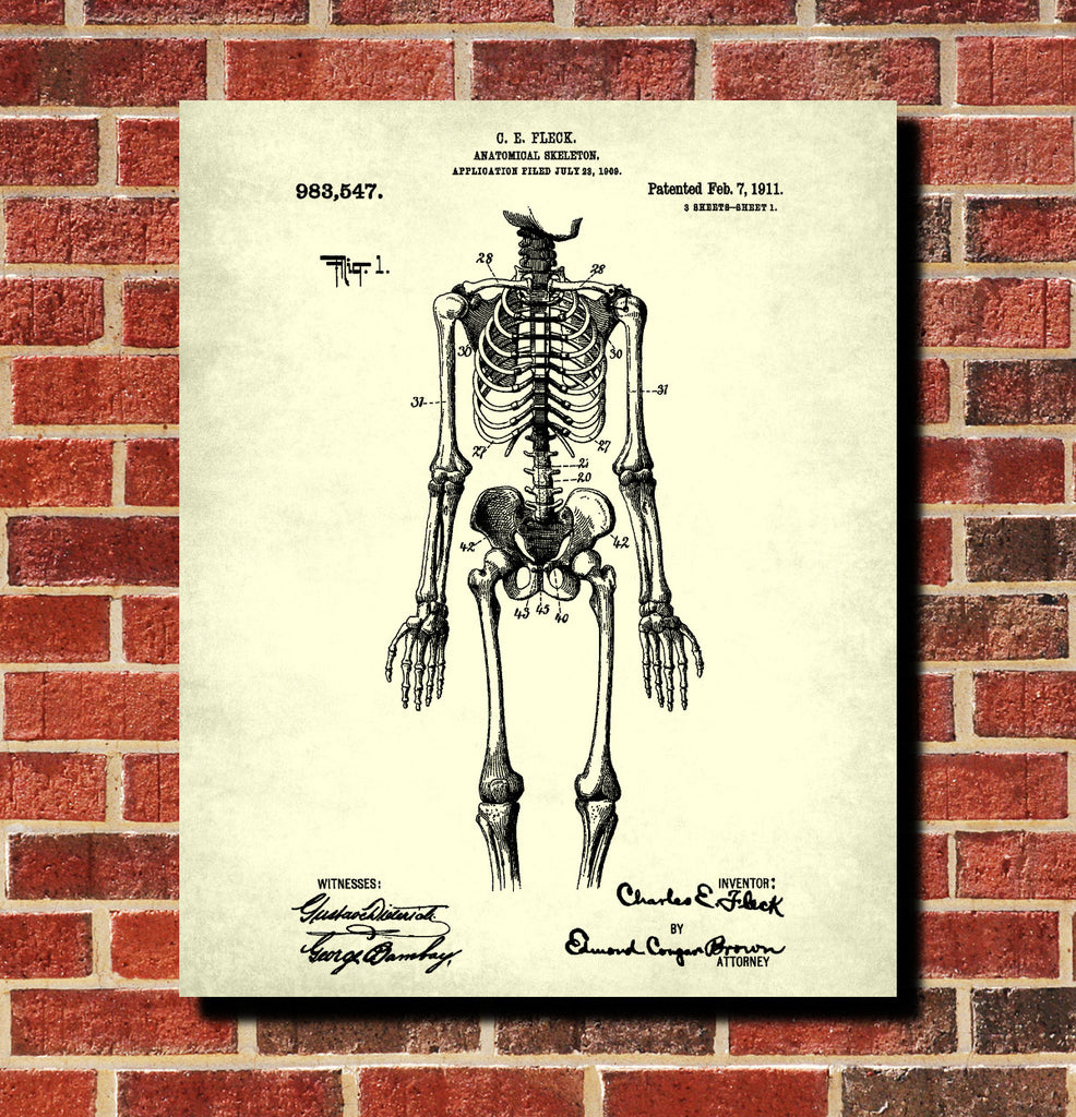 Medical Patent Print Anatomical Skeleton Poster