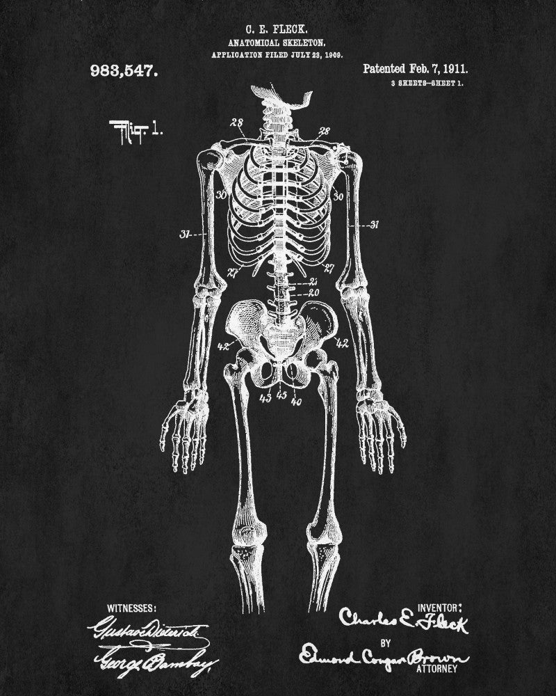 Medical Patent Print Anatomical Skeleton Poster