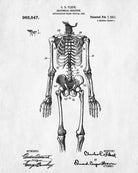 Medical Patent Print Anatomical Skeleton Poster