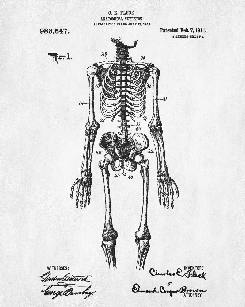 Medical Patent Print Anatomical Skeleton Poster