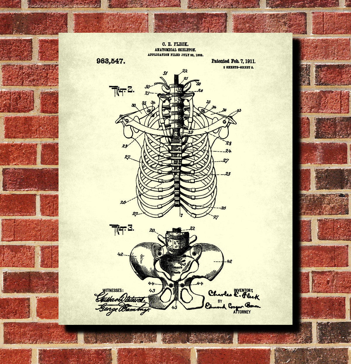 Medical Student Patent Print Anatomical Skeleton Poster