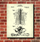 Medical Student Patent Print Anatomical Skeleton Poster