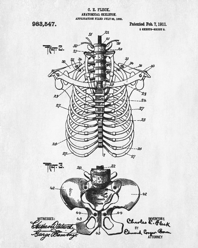 Medical Student Patent Print Anatomical Skeleton Poster