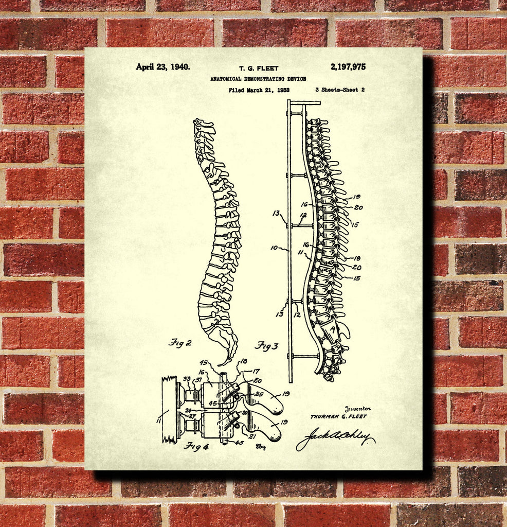 Medical Student Poster Anatomical Skeleton Patent Print