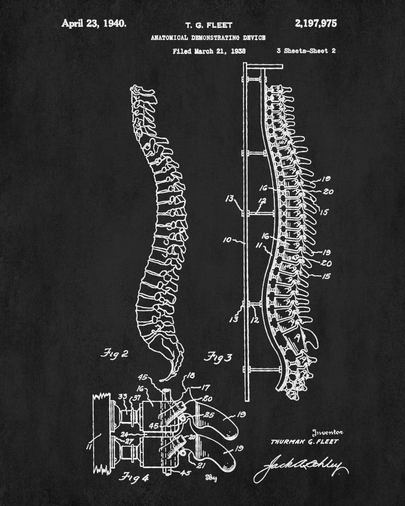 Medical Student Poster Anatomical Skeleton Patent Print