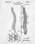 Medical Student Poster Anatomical Skeleton Patent Print