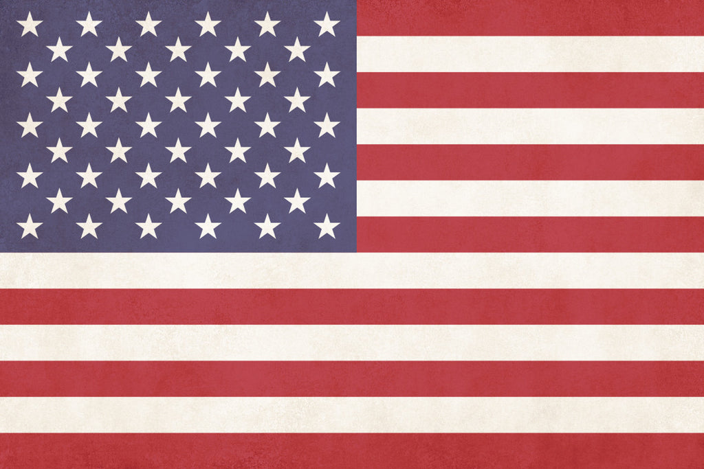 United States Flag Print